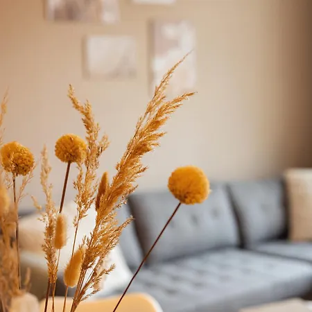 Ferdinand * Bad Langensalza