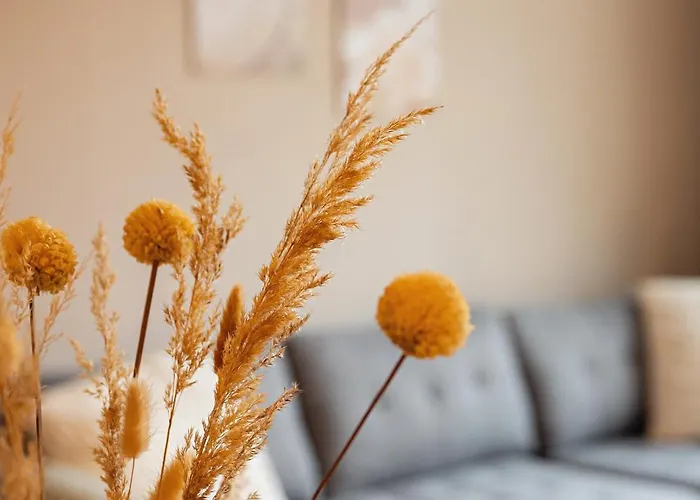 Ferdinand * Bad Langensalza